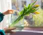 Preview: Muxing Glas Blumenvase Handtasche geformt klar Vase Aquarium